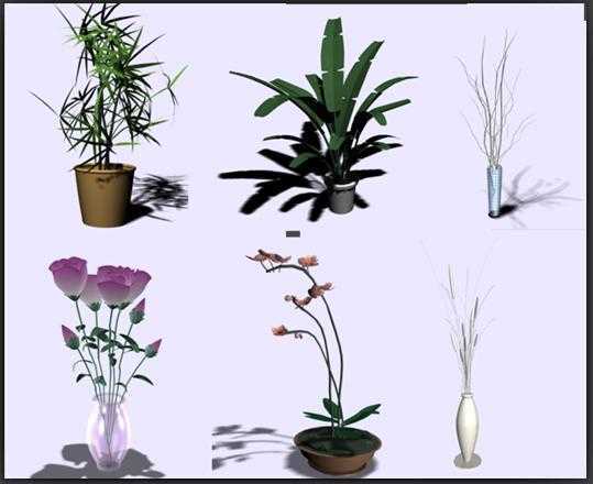 3DMAX经典植物模型免费下载 - 建筑详图、图