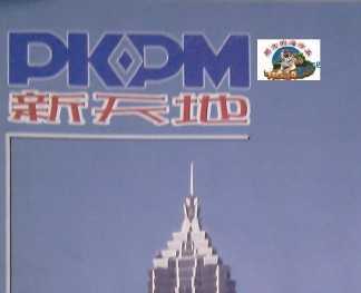 PKPM201001-06