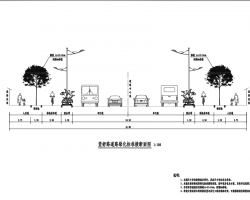 四条城市道路绿化工程施工图