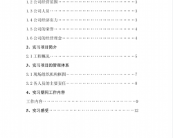 水利工程頂崗實習報告PDF 13P