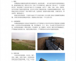 景观生态实习报告PDF 8P
