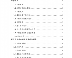 水利血防工程可行性研究报告PDF 94P