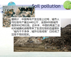 垃圾填埋场对土壤的污染 27P