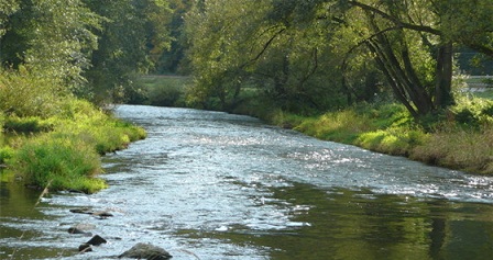 详细解析,什么叫河流的生态结构和功能! - 水利