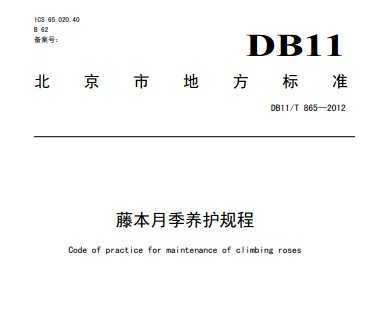 DB11/T 865-2012 藤本月季养护规程