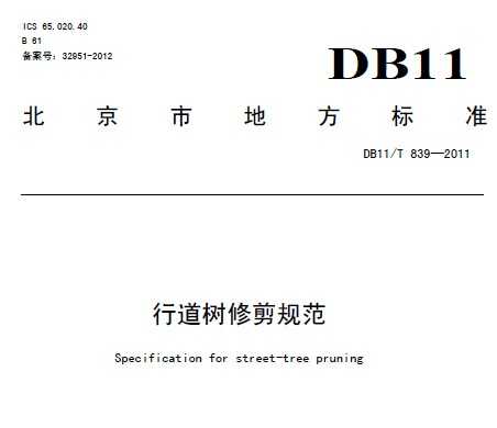 DB11/T 839-2011 行道树修剪规范
