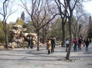 北京某公园实拍图